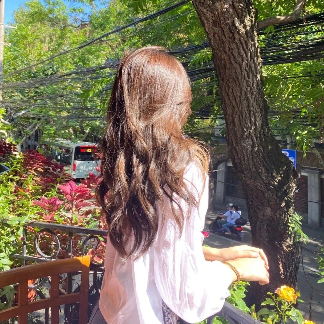 女王的柯基